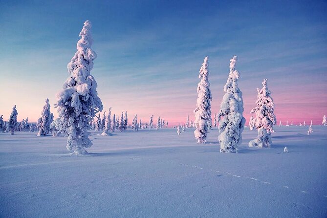 Snowmobile and Ice Fishing Experience - Children, drivers, and comfort