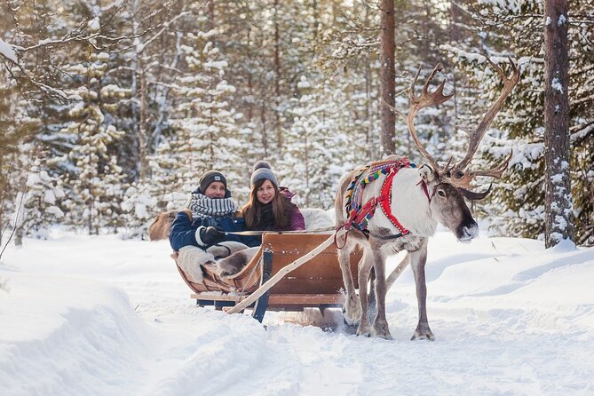 Snowmobile & Animals Day Tour - The reindeer sleigh: quiet and traditional