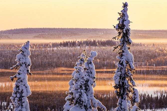 Snowmobile Driving - Morning start - Riding Through Rovaniemi’s Snowy Forests