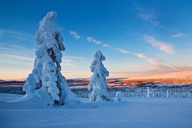 Snowmobile Driving - Morning start - Language and Safety Expectations