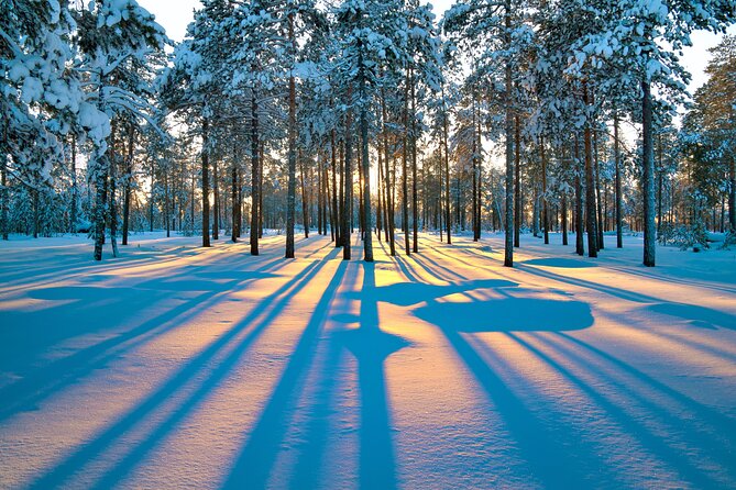 Snowmobile Safari 2h - Winter clothing and comfort in Lapland