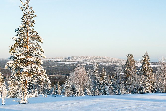 Snowmobile Safari in the Forest - Riding across forests, swamps, lakes, and rivers