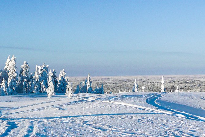 Snowmobile Safari in the Forest - Who should book this experience?