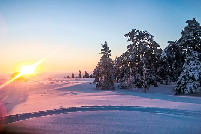 Snowmobile Safari in the Nature - Who will enjoy this Rovaniemi safari?