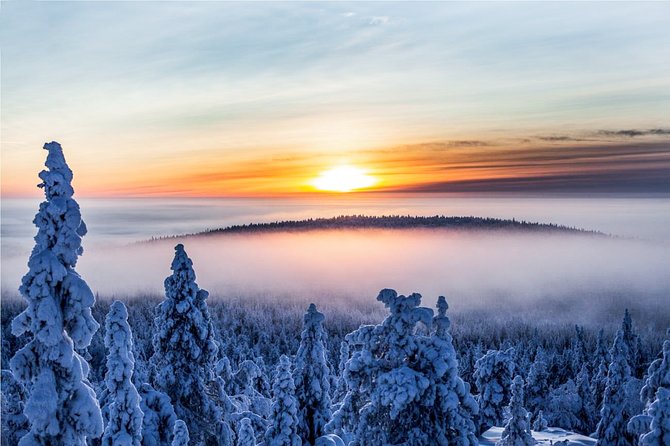 Snowmobile Safari in the Nature - Morning start - Riding beyond Rovaniemi on a calm morning route