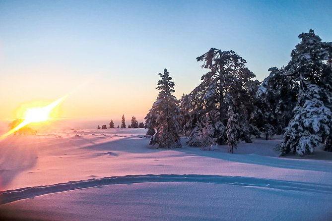 Snowmobile Safari in the Nature - Morning start - Forests, frozen rivers, and open winter country