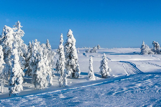Snowmobile Safari in the Nature - Morning start - Warm gear makes the morning easier
