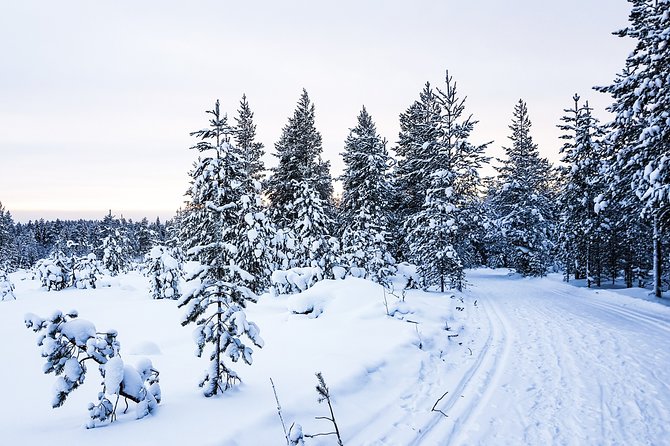 Snowmobile Safari in the Nature - Morning start - Who should choose this morning safari?