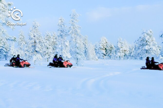 Snowmobile Safari into Arctic Wilderness - Family arrangements for children
