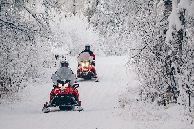 Snowmobile Safari into the Wilderness, Apukka Resort Rovaniemi - Who will enjoy this Apukka safari most?