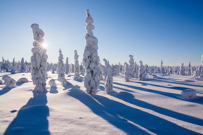 Snowmobile Safari on the Tundra - Guides who shape the day