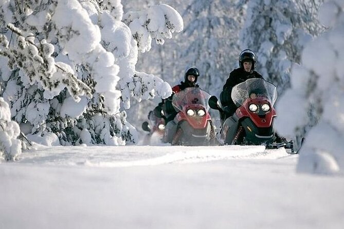 Snowmobile Safari through Lappish Forest from Rovaniemi - Key points to know before you book