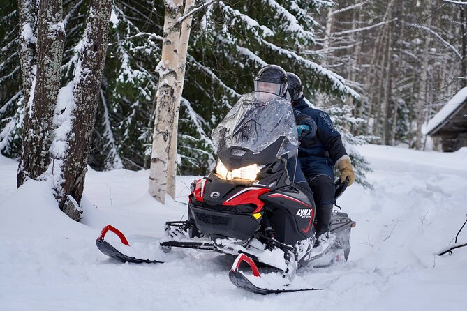 Snowmobile Safari to Arctic Nature - Key details before you book