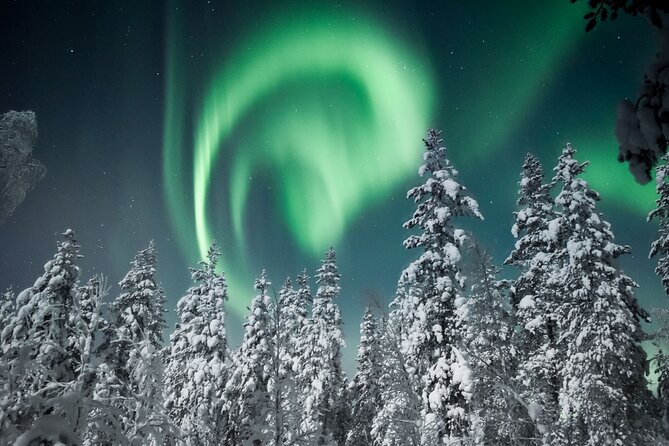 Snowmobile Safari to Search for the Northern Lights - The warm drink and campfire stop