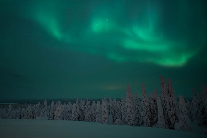 Snowmobile Safari to Search for the Northern Lights - Price, liability, and what you receive