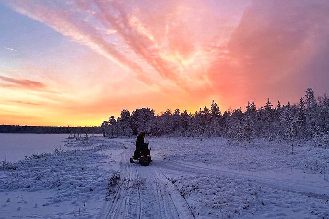 Snowmobile Tour with Small Group in Remote Wilderness 3 Hours - What the $222.27 price buys you