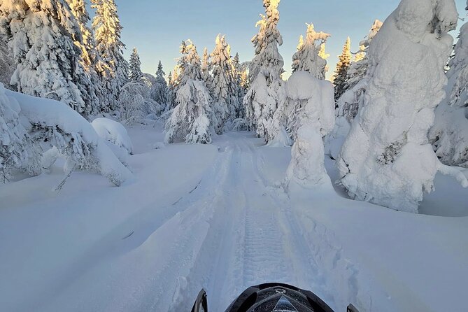 Snowmobile Tour with Small Group in Remote Wilderness 3 Hours - Who will enjoy this Rovaniemi snowmobile tour most