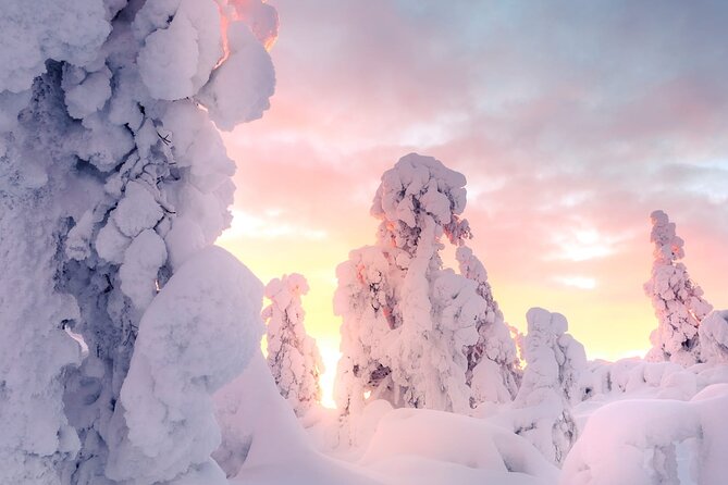 Snowmobile Tours in Rovaniemi Lapland - Key points before you book