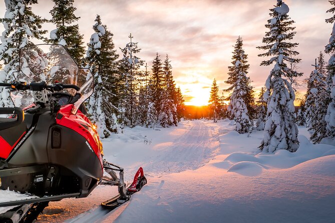 Snowmobile Tours in Rovaniemi Lapland - Why the small group matters