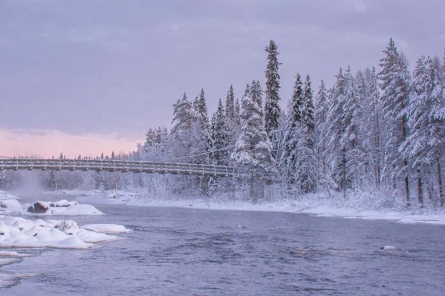Snowshoe experience with traditional beverages in Lapland - Alex, instruction, and the human touch