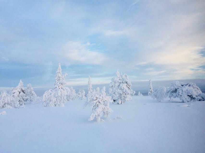 Snowshoe experience with traditional beverages in Lapland - Is $91 a fair price?