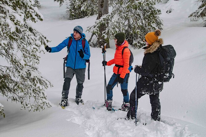 Snowshoeing Adventure with Ice-Fishing, Fire and Survival - Who will enjoy this four-hour Arctic lesson