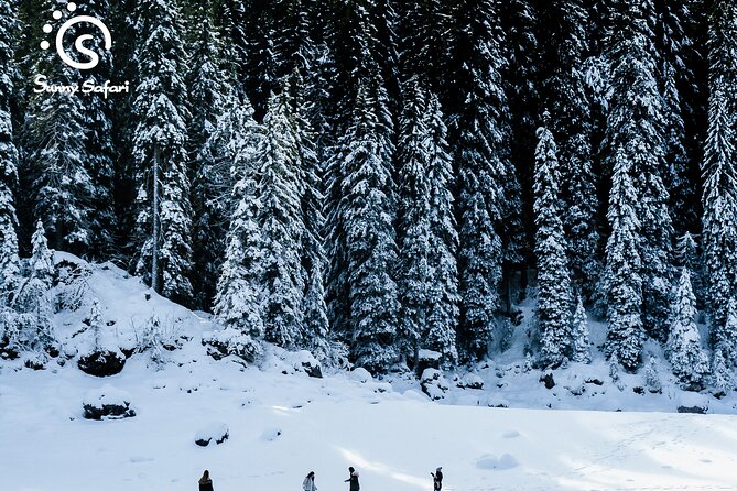 Snowshoeing in Lapland Wilderness - Why the family option is genuinely useful