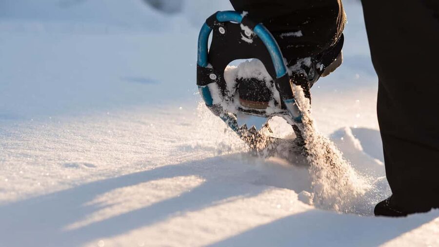 Snowshoeing in the Arctic Wilderness - Key points at a glance