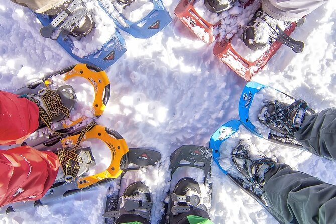 Snowshoeing tour with Wild Lunch - Key points at a glance