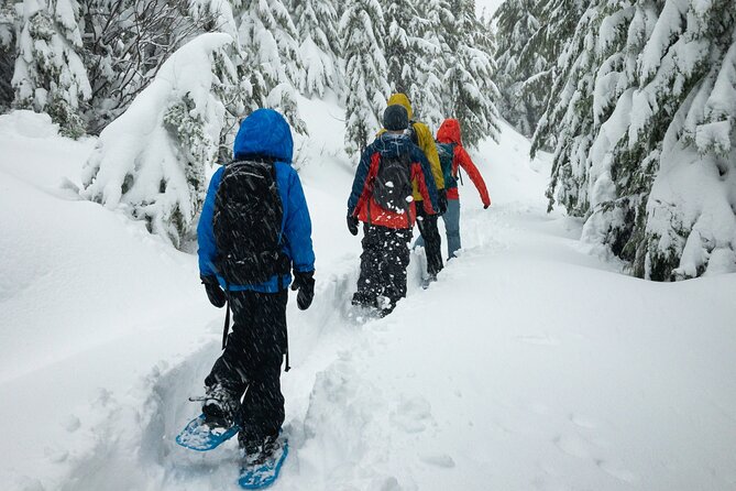 Snowshoeing tour with Wild Lunch - Learning to walk in snowshoes