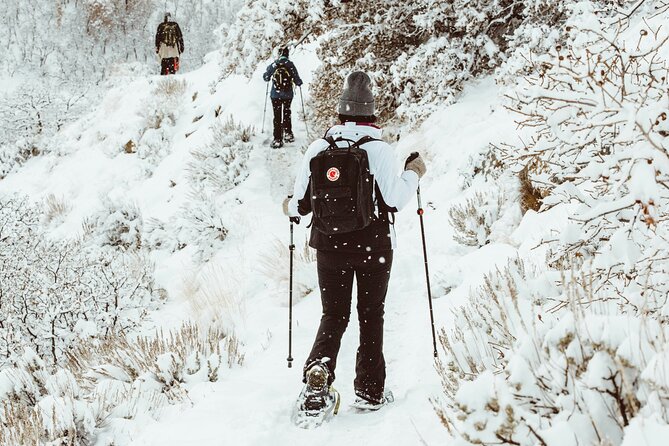 Snowshoeing tour with Wild Lunch - The teepee lunch is the real finish line