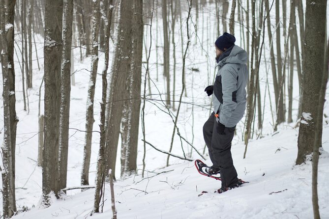 Snowshoeing tour with Wild Lunch - What the $95.53 price buys you