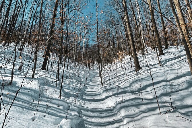 Snowshoeing tour with Wild Lunch - Who will enjoy this outing most