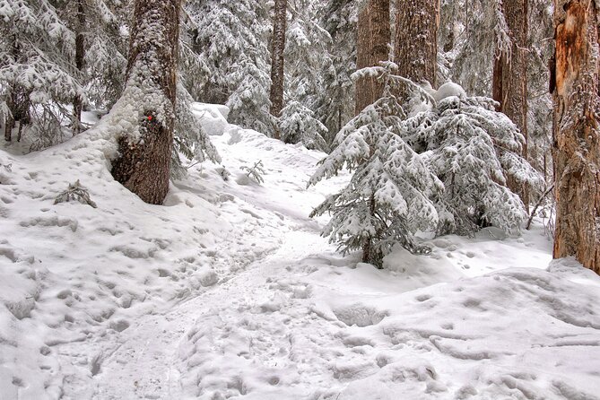 Snowshoeing tour with Wild Lunch - Booking, pickup, and cancellation details