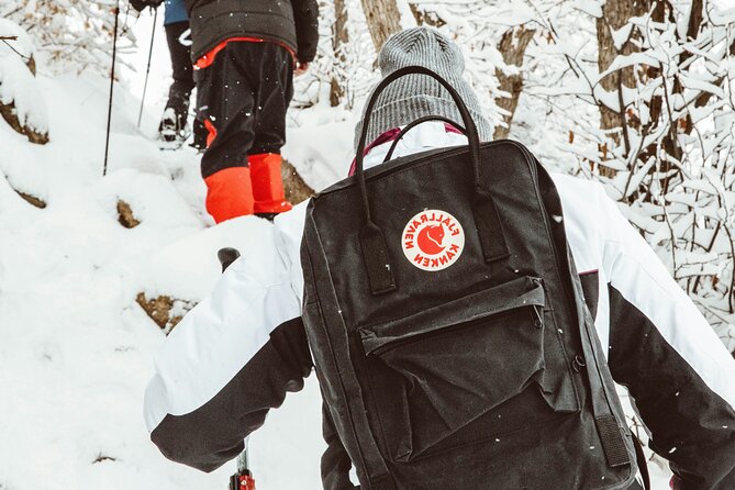 Snowshoeing tour with Wild Lunch - Should you book the Rovaniemi snowshoe tour?