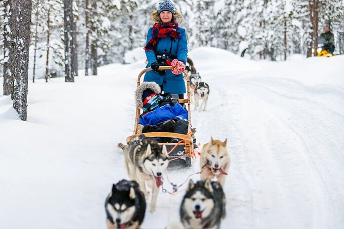 Snowy Trails 10km Husky Safari from Rovaniemi - Timing, pickup, and the parts that need patience
