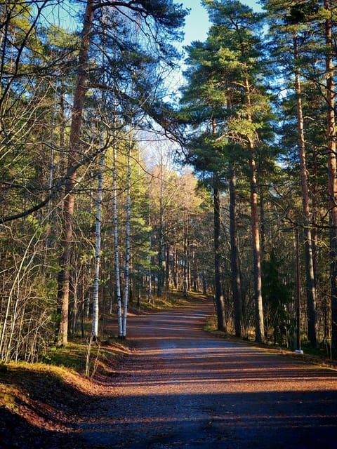 Tampere Panoramic Tour - Who will enjoy this Tampere outing most