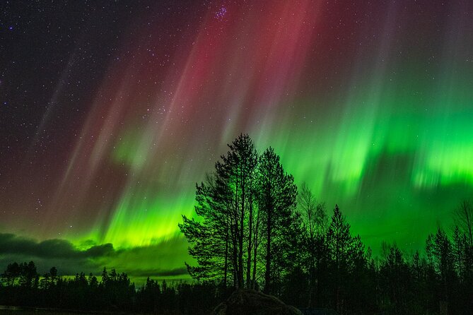 The Ultimate Guaranteed Aurora Hunt - Group size, pickup, and the practical details