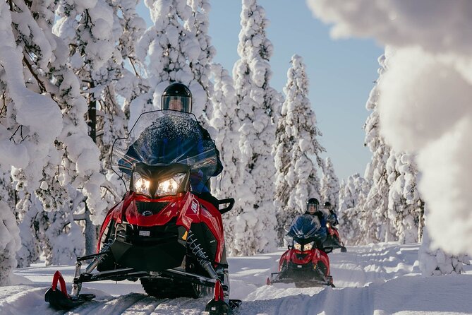 Thrill of Snowmobiling for Adults Only - Why this safari keeps the focus on driving