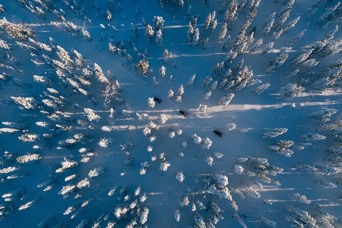 Thrill of Snowmobiling for Adults Only - Two and a half hours across snowy Lapland