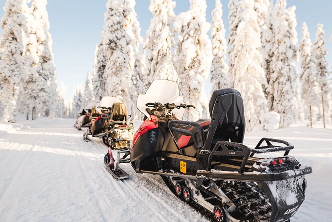Thrill of Snowmobiling for Adults Only - The real price, including the risk question