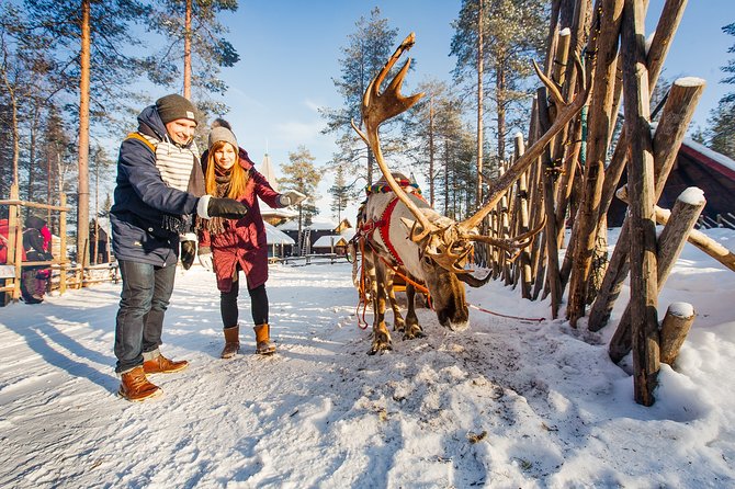 Trip to Arctic Circle, Santa Claus Village and Santas Reindeer - Transport, pickup, and guide quality