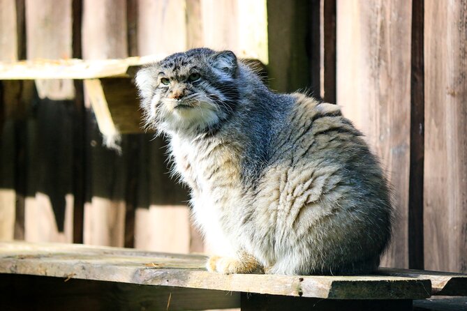 Trip to Ranua Wildlife Park - Is the $174.60 price good value?