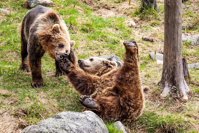 Trip to Ranua Wildlife Park - Winter clothing and practical comfort
