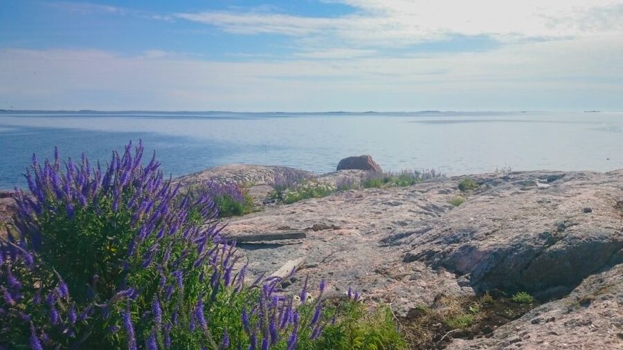 Turku Archipelago: Sea Kayaking Day Tour - Learning the basics before you paddle out