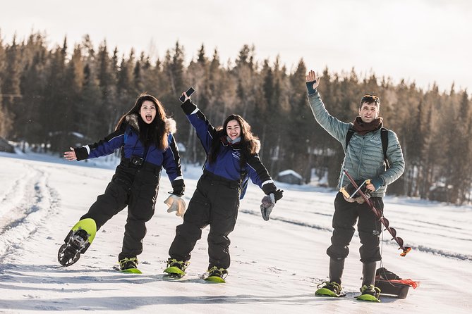 Two Full Days in Lapland - What the guide support adds