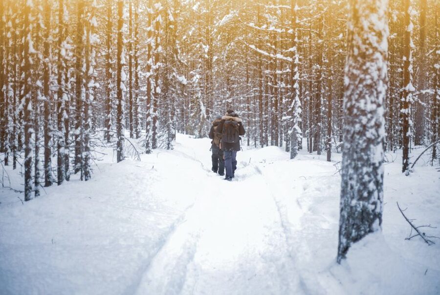 Vikakongas Hike: Nature and Silence - Why this short hike works near Rovaniemi