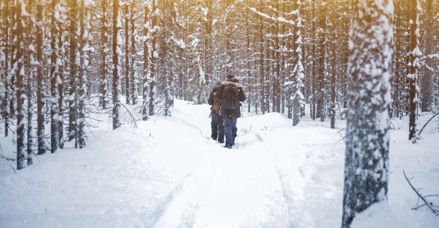 Vikakongas Hike: Nature and Silence - The drive from Rovaniemi to the trail