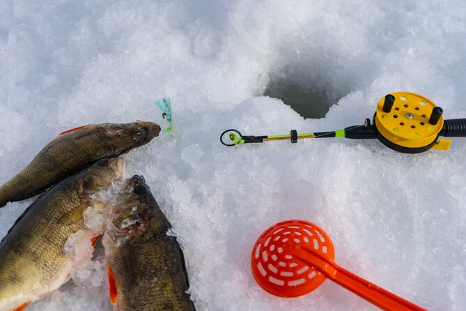 VIP Ice Fishing "ICEBREAKER" Lunch in Glass Igloo - Snow scooters for adults and children