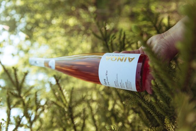 Visit to Authentic Finnish Berry Winery, Tasting Included - Why a Finnish berry winery is worth the trip